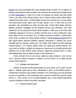 Referāts 'Mārketinga vides analīze uzņēmumā "Fazer-Druva"', 15.