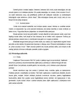 Referāts 'Mārketinga vides analīze uzņēmumā "Fazer-Druva"', 16.