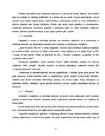 Referāts 'Mārketinga vides analīze uzņēmumā "Fazer-Druva"', 17.