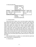 Referāts 'Mārketinga vides analīze uzņēmumā "Fazer-Druva"', 20.