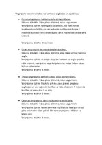 Konspekts 'Vispārattīstošie vingrojumi', 1.