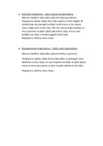 Konspekts 'Vispārattīstošie vingrojumi', 3.