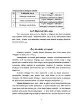 Referāts 'Vērtspapīru klasifikācija, uzskaite grāmatvedībā', 11.