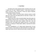 Referāts 'Savrupinājumi Ārijas Elksnes dzejoļu krājumā "Vasaras vidū"', 4.