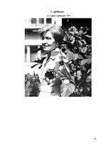 Referāts 'Savrupinājumi Ārijas Elksnes dzejoļu krājumā "Vasaras vidū"', 24.