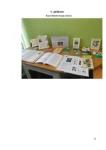 Referāts 'Savrupinājumi Ārijas Elksnes dzejoļu krājumā "Vasaras vidū"', 25.