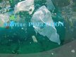 Prezentācija 'Marine Pollution', 1.