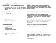 Konspekts 'Rotaļdarbība un starpdisciplinaritāte', 4.