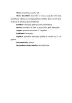 Konspekts 'Ieskaites darbs vispārējā socioloģijā', 2.