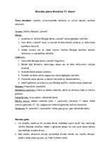 Konspekts 'Stundas plāns literatūrā 11.klasei', 1.