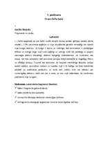 Konspekts 'Stundas plāns literatūrā 11.klasei', 3.