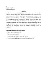 Konspekts 'Stundas plāns literatūrā 11.klasei', 4.