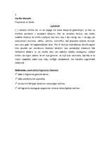 Konspekts 'Stundas plāns literatūrā 11.klasei', 5.