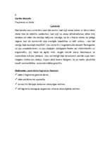 Konspekts 'Stundas plāns literatūrā 11.klasei', 8.