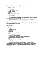 Konspekts 'Viesnīcas saimnieciskā dienesta darbība', 3.