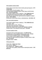 Konspekts 'Viesnīcas saimnieciskā dienesta darbība', 5.