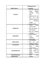 Biznesa plāns 'Biznesa plāns "Tējas pietura"', 3.