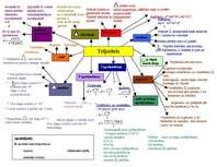 Konspekts 'Domukarte par trijstūri', 1.