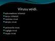 Prezentācija 'Datorvīrusi un to veidi', 3.