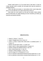 Referāts 'Mācību vide sākumskolā', 25.