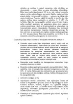 Referāts 'Ekoloģiskā būvniecība', 5.