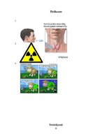 Referāts 'Radioaktivitāte', 10.