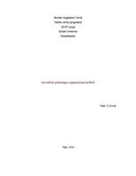 Eseja 'Inovatīvās pārmaiņas organizācijas kultūrā', 1.