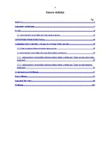 Diplomdarbs 'Administratīvi teritoriālās reformas ietekme uz Ciblas novada sociālekonomisko v', 4.