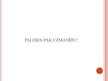 Prezentācija 'Reklāmas izvietojums kinoteātrī "Citadele"', 18.
