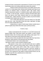 Referāts 'Produkta mārketings', 5.