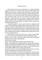 Referāts 'Produkta mārketings', 13.