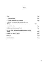 Referāts 'Personvārdu izpēte', 1.