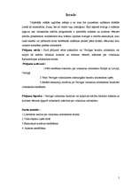 Referāts 'Vecrīgas baznīcu viduslaiku arhitektūras stili', 7.