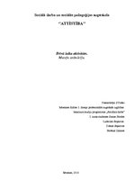 Eseja 'Brīvā laika aktivitātes', 1.