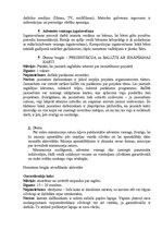 Eseja 'Brīvā laika aktivitātes', 4.