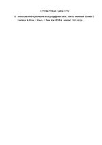 Eseja 'Brīvā laika aktivitātes', 5.