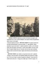 Referāts 'Viduslaiku Cēsis', 3.