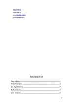 Referāts 'Viduslaiku Cēsis', 7.