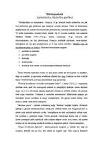 Referāts 'Romantisms', 3.