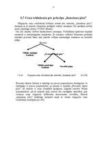 Referāts 'Oligopola tirgus novērtēšana', 17.