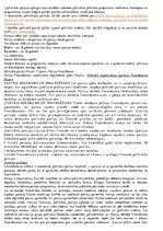 Konspekts 'Konstucionālās tiesības, eksāmena atbildes', 60.