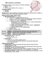 Konspekts 'Baktēriju šūnu ķīmiskais sastāvs', 4.