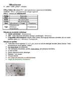 Konspekts 'Baktēriju šūnu ķīmiskais sastāvs', 7.