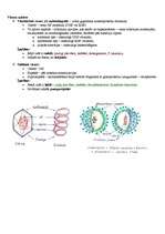 Konspekts 'Baktēriju šūnu ķīmiskais sastāvs', 14.