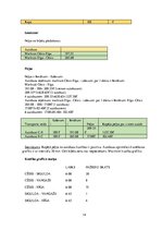 Konspekts 'Dzelzceļa transporta loģistika', 14.