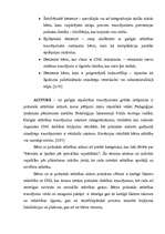 Referāts 'Darbs ar nestandarta bērnu skolā', 9.