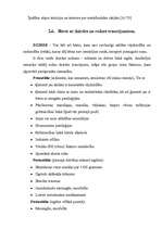 Referāts 'Darbs ar nestandarta bērnu skolā', 18.