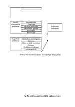 Referāts 'Darbs ar nestandarta bērnu skolā', 23.