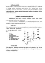 Referāts 'Ūdensapgāde un kanalizācija', 8.
