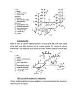 Referāts 'Ūdensapgāde un kanalizācija', 9.